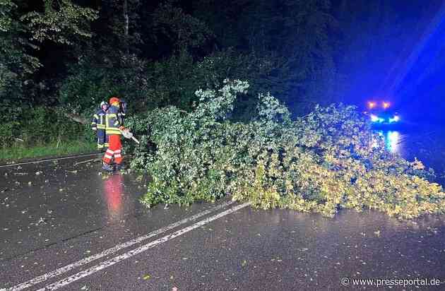 FW-EN: Querspange durch Baum versperrt & Verkehrsunfall auf der Schmiedestraße
