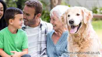 Petting other people's dogs even briefly can boost your health for MONTHS on end