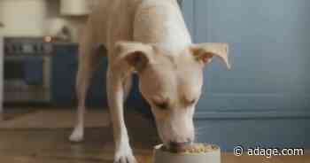 Watch the newest commercials from The Farmer’s Dog, Mint Mobile, ButcherBox and more