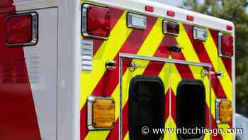 5-year-old Illinois girl dies after being struck by starting gate while sitting in grandstand at county fair