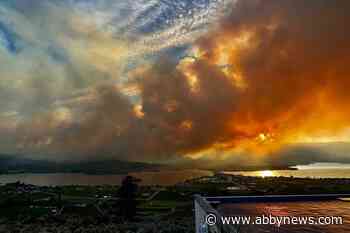 Wildfire impact on B.C. tourism varies by region, proximity and visibility