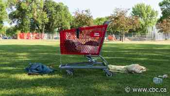 Lethbridge park at the fore of city's struggles with addiction, homelessness