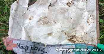 RSPCA issues urgent appeal as three guinea pigs found dead on top of pizza box in Sunderland