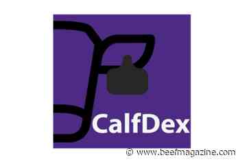 Industry feedback helps develop new CalfDex recordkeeping app