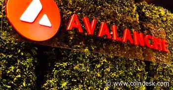 Avalanche Blockchain Usage Grew in Second Quarter: Nansen