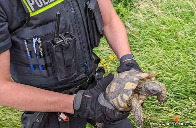 POL-DEL: Autobahnpolizei Ahlhorn: Ungewöhnliche Rettungsaktion auf der Autobahn 1 in der Gemeinde Harpstedt
