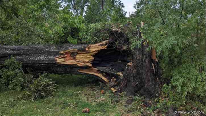 City-parish collecting debris in BR neighborhoods after recent storms