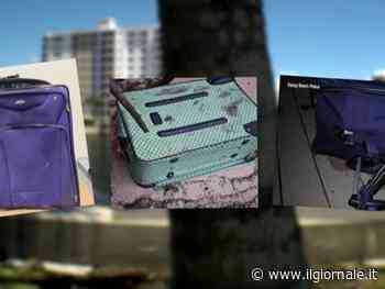 80enne uccisa, fatta a pezzi e nascosta in 3 valigie: orrore in Florida