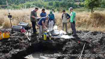 Vermutlich weiteres Urpferd in der Grube Messel entdeckt