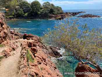 Ce que l’on sait sur la découverte du corps d’un homme dans une crique de Saint-Raphaël