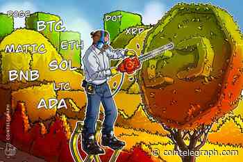 Price analysis 8/4: BTC, ETH, BNB, XRP, DOGE, ADA, SOL, MATIC, LTC, DOT
