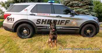 K9 Axel to receive body armor donation