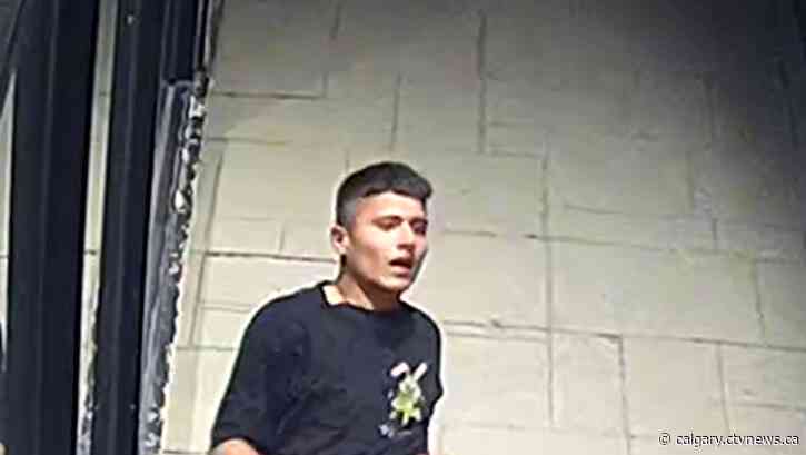 Police seek assistance identifying suspect in Tuxedo Park assault and attempted robbery