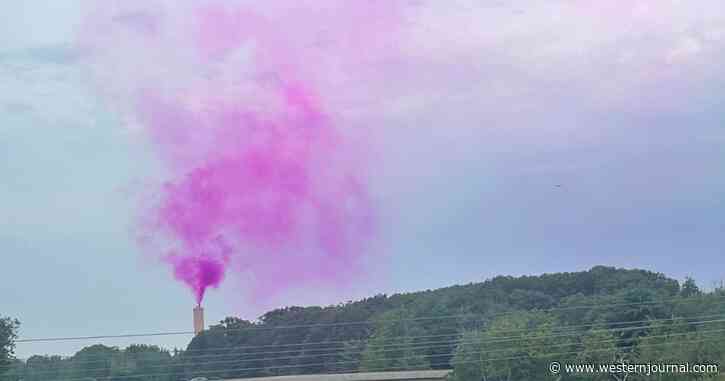 Officials Investigating as Strange Purple Vapor Billows Out of Waste Plant