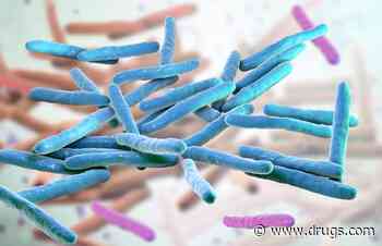 Leprosy on the Rise in Florida