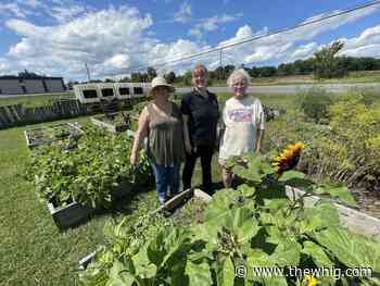 'People are desperate for help'