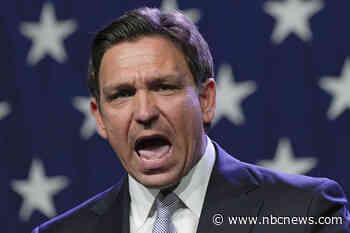 Ron DeSantis’ Key West anti-migrant missions raised pilot safety concerns