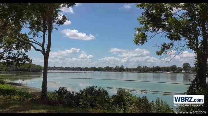 Foul odor around LSU Lakes caused by fish kill, say restoration project organizers