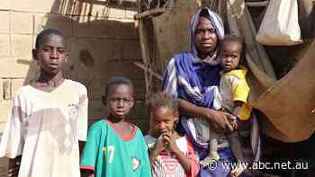 'Humanitarian doom loop': Millions more go hungry as Indian rice export ban, Ukraine war, El Niño hit food prices