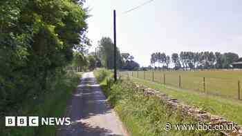 Chedglow: Police appeal after dog shot on rural road