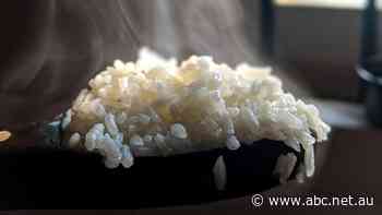 The price of rice is skyrocketing, and it's pushing millions more people towards starvation