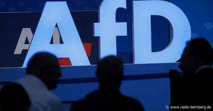 AfD besetzt weitere Listenplätze für Europawahl 2024