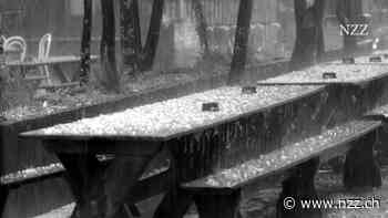 Die Swiss Re schreibt endlich wieder einen hohen Gewinn – aber sie muss sich um den Klimawandel und zu früh sterbende Amerikaner Sorgen machen