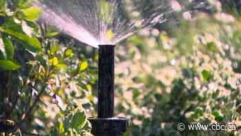 Parts of B.C. activating severe water restrictions today with no rain in sight