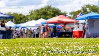 Newport News organization to host family fun day, community clean up
