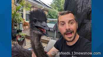 Virginia Beach man wins fight to keep emu as emotional support animal