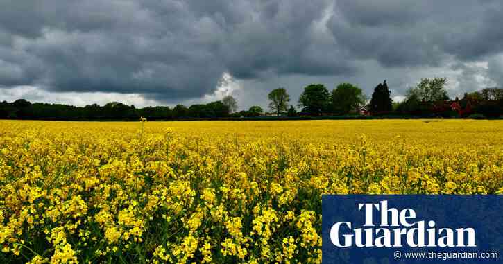 Fears of food inflation rise as UK harvests hit by cool, wet summer