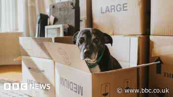 House prices are falling, so why can't I afford a home?