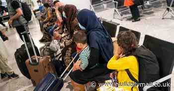 Hull agrees to resettle dozens more refugees amid world 'turmoil'