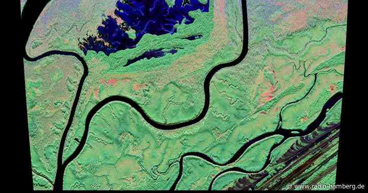 Radar-Satelliten sollen Biomasse von Wäldern erfassen