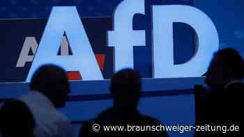 AfD besetzt weitere Listenplätze für Europawahl 2024