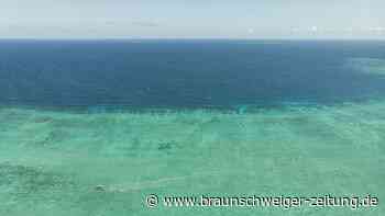 Oberflächentemperatur der Weltmeere auf Rekordhoch