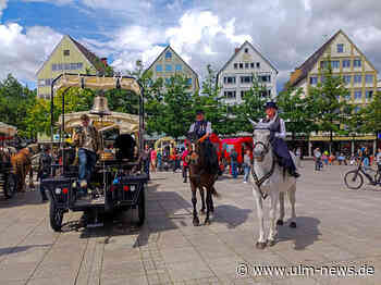 Pferdefriedenstrecks startet vor Ulmer Münster