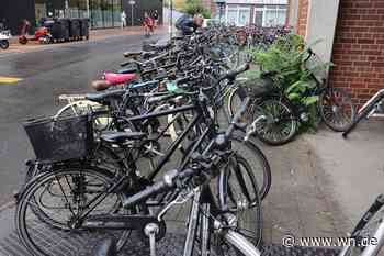 Fahrradprofessur: Die FH beißt an, die Uni nicht