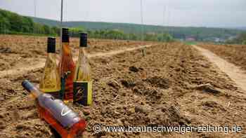 Wein aus Niedersachsen: Winzer setzen auf Herkunftsbezeichnung