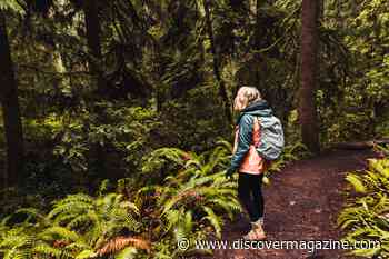 Ideas for STEM Summer Fun from Science Near Me