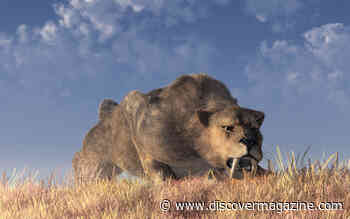 Saber-Tooth Cats and Dire Wolves Had Joint Ailments During the Latter Years of the Ice Age
