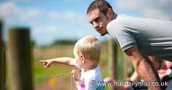 More than 30 hidden gem things to do near Hull whatever the weather - as chosen by you