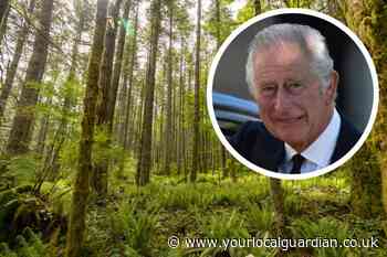 New £2.5m fund launched for tree planting in honour of King Charles