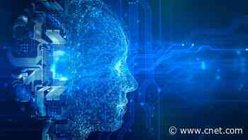 AI and You: xAI Marks the Spot, Small Businesses Should Embrace Chatbots, Taking AI's Temperature     - CNET