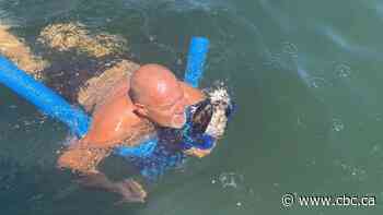 B.C. couple shares 'amazing' osprey rescue during boating trip