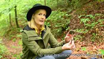 Pilzsaison beginnt: Auf was Sammler achten sollten - Expertin gibt Tipps