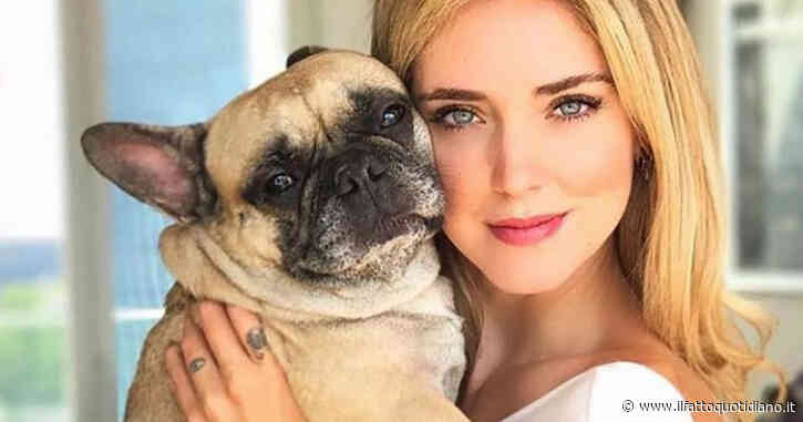 Chiara Ferragni, l’omaggio alla cagnolina a pochi giorni dalla morte: ecco come ha deciso di ricordare la sua Matilda