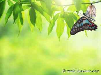 The Real-World of Data Analytics and Digital Transformation