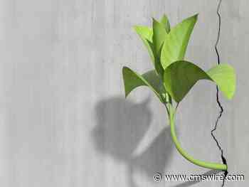 Adapting CX Strategies in Times of Crisis: Lessons From Global Disruptions