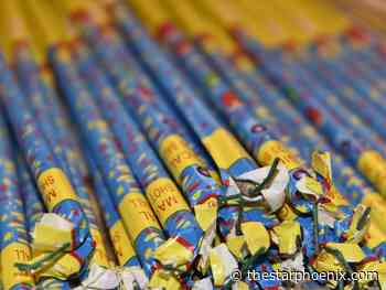 Saskatoon council committees to discuss road renaming, black carts, fireworks